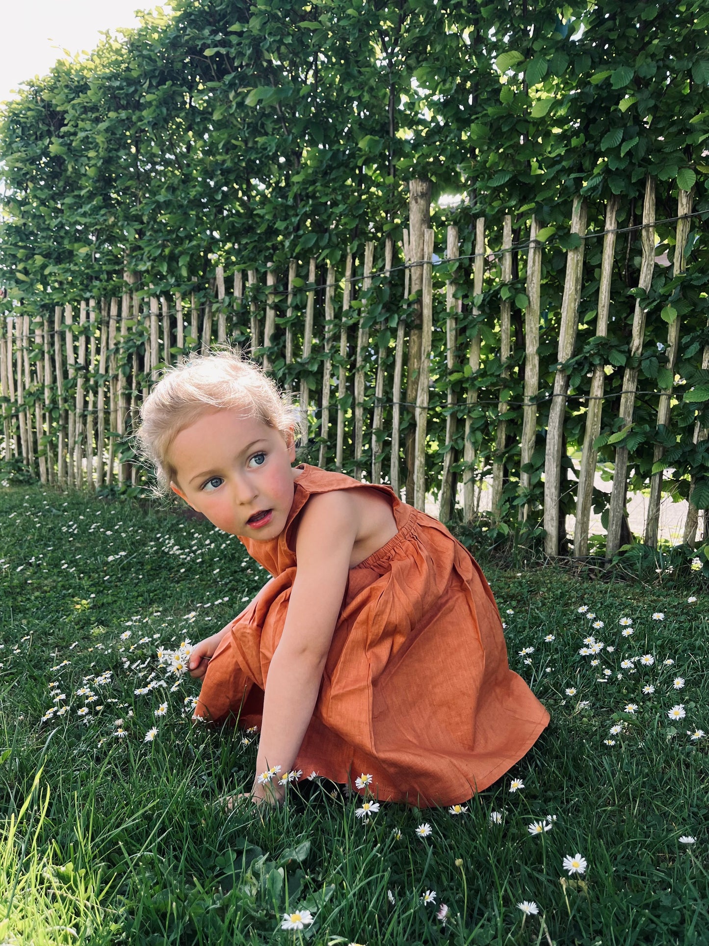 Brick Linen Dress