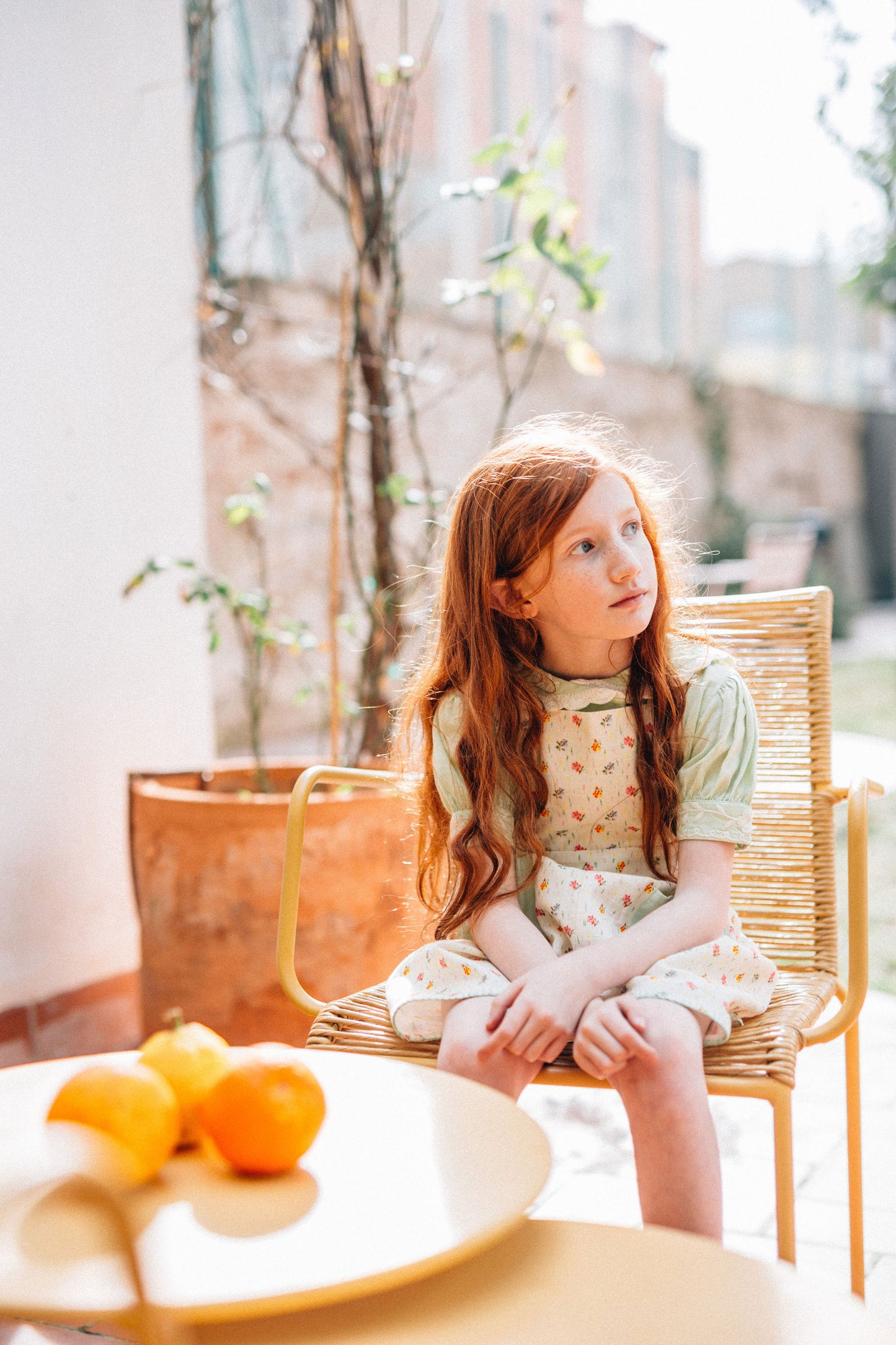 Lucie, the Prairie Ikat Romper