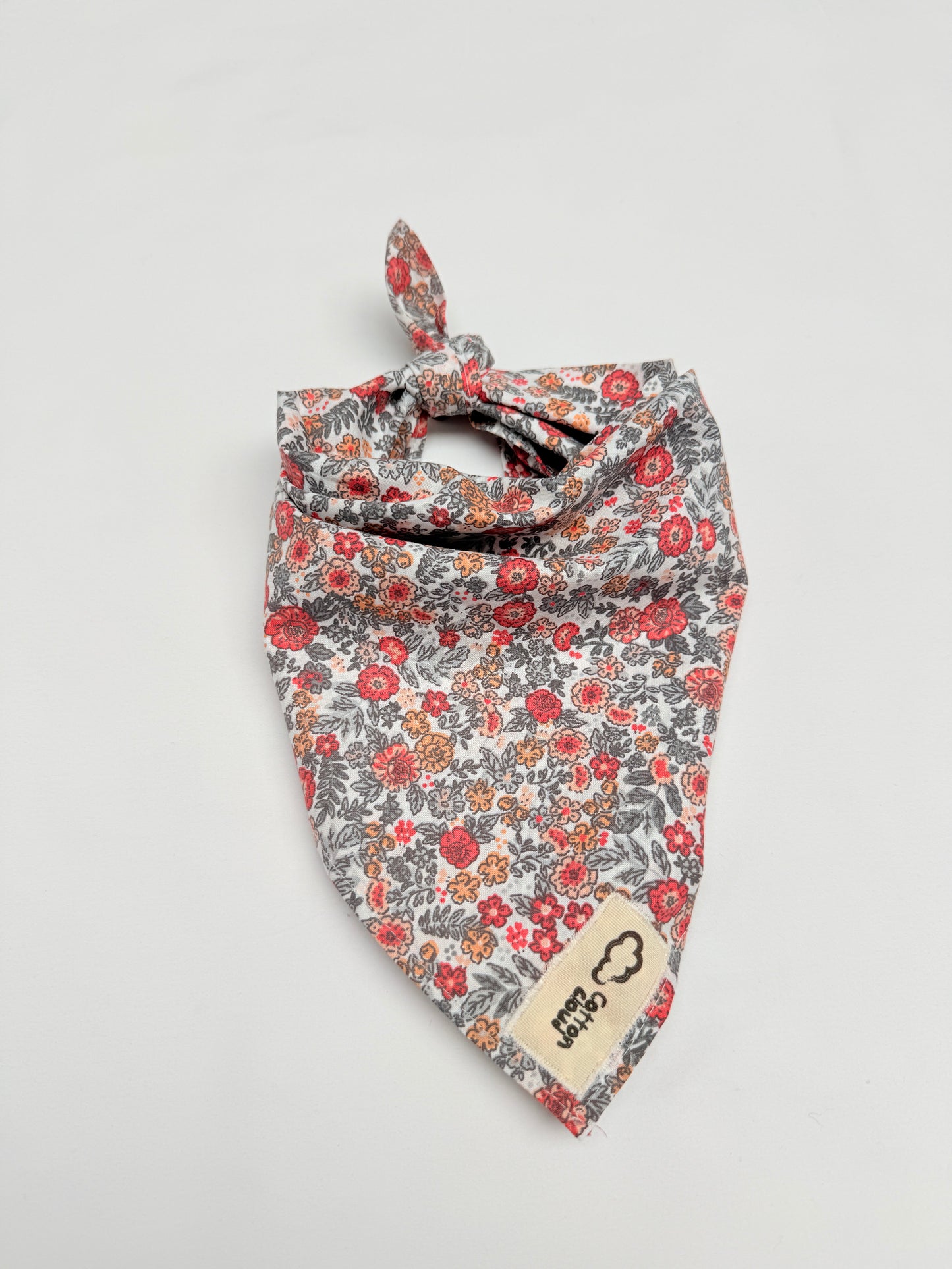 Augustin, The Bandana