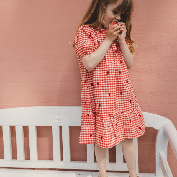 Molly, the Berry Gingham Dress