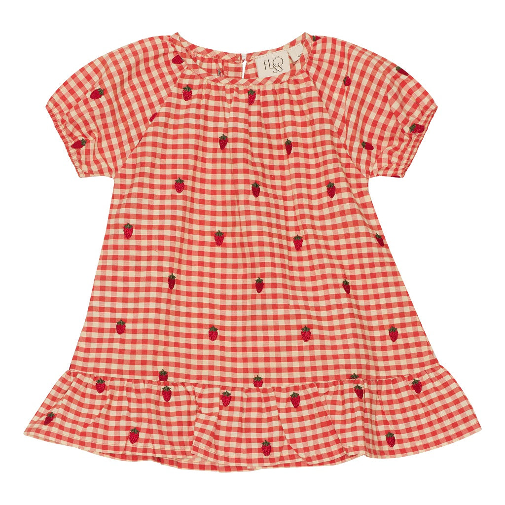 Molly, the Berry Gingham Dress