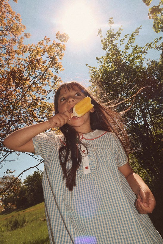 Blue, the River Blue/Soft White Gingham Dress