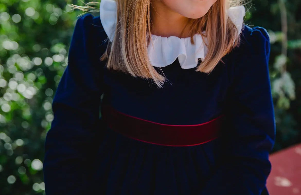 Blue Velvet Dress