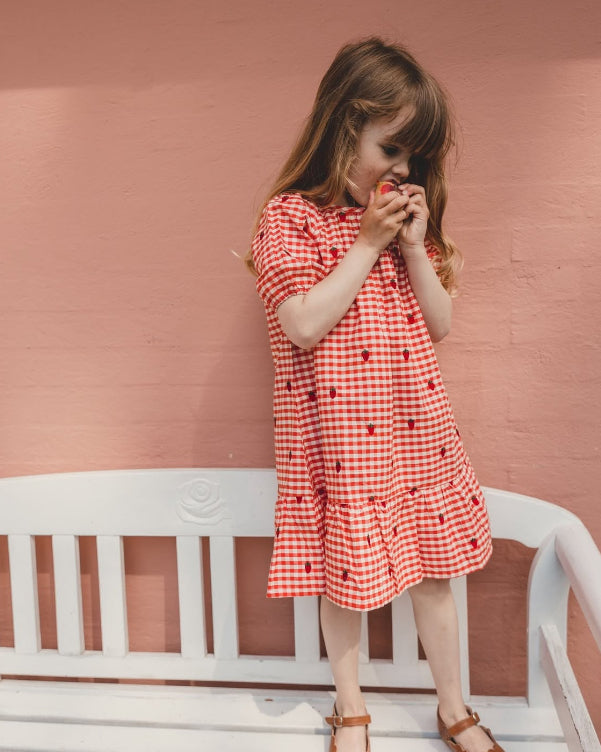 Molly, the Berry Gingham Dress