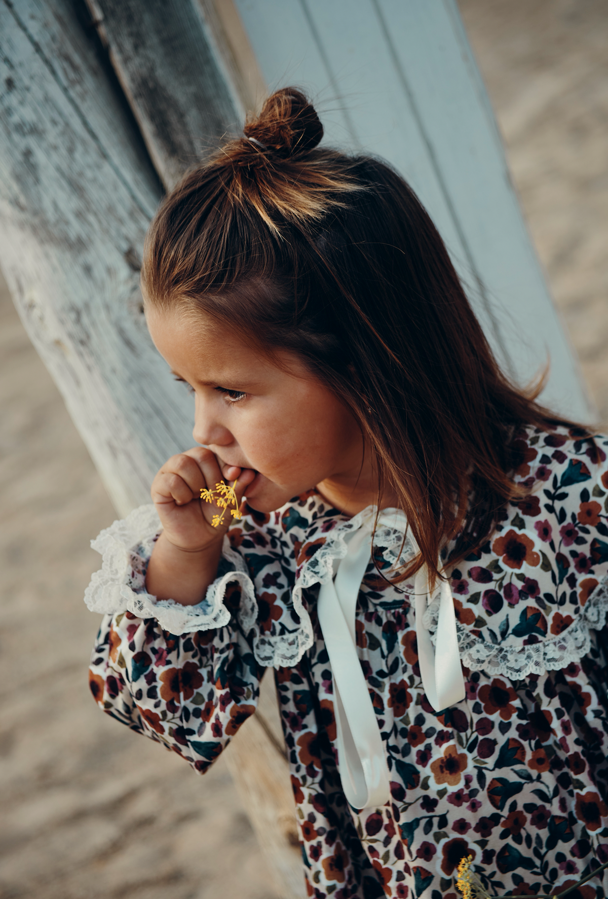 Claire in bloom Dress - Carlota Suip
