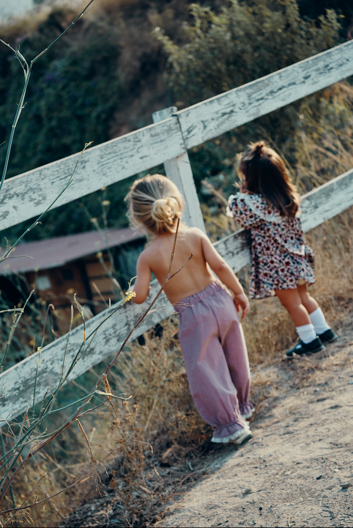 Claire in bloom Dress - Carlota Suip